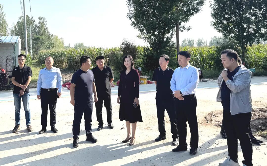 GreenFut Mealworms Breeding Base