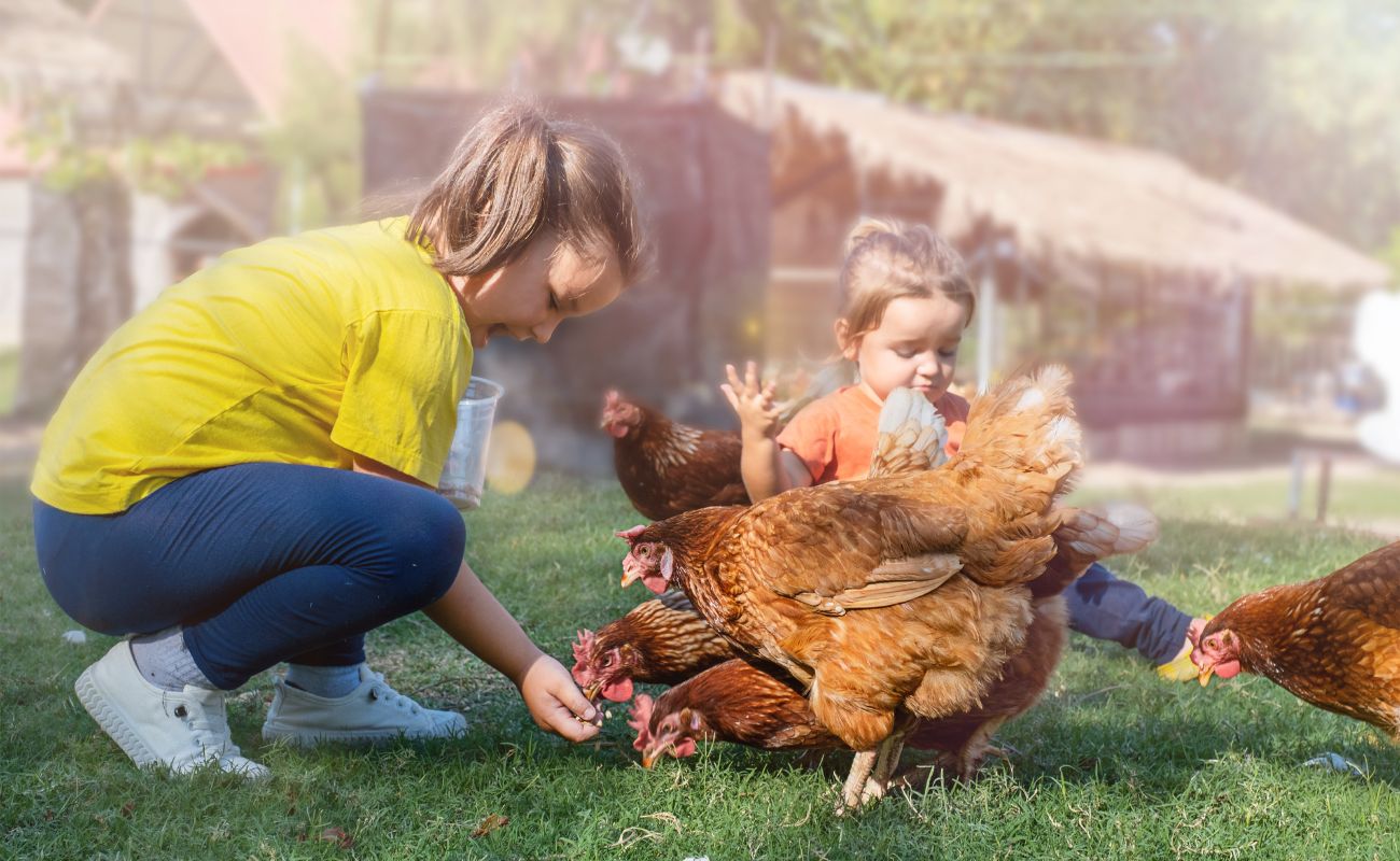 are mealworms harmful to humans