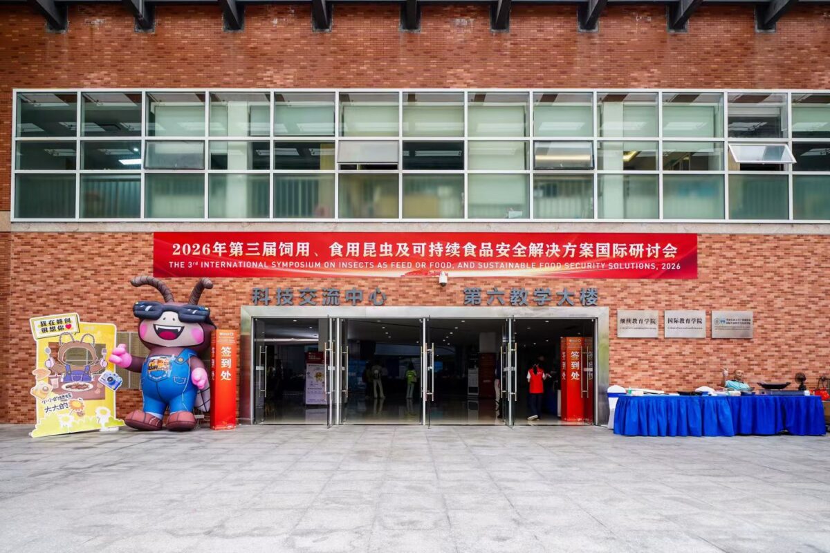 The 3rd International Symposium on Insects for Feed and Food Sustainable Food Safety Solutions