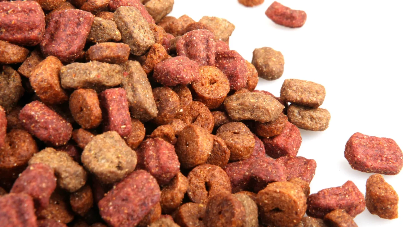 Mealworm protein pet food1